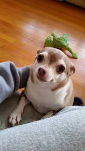 10366134_752533198176796_418415319381980577_n